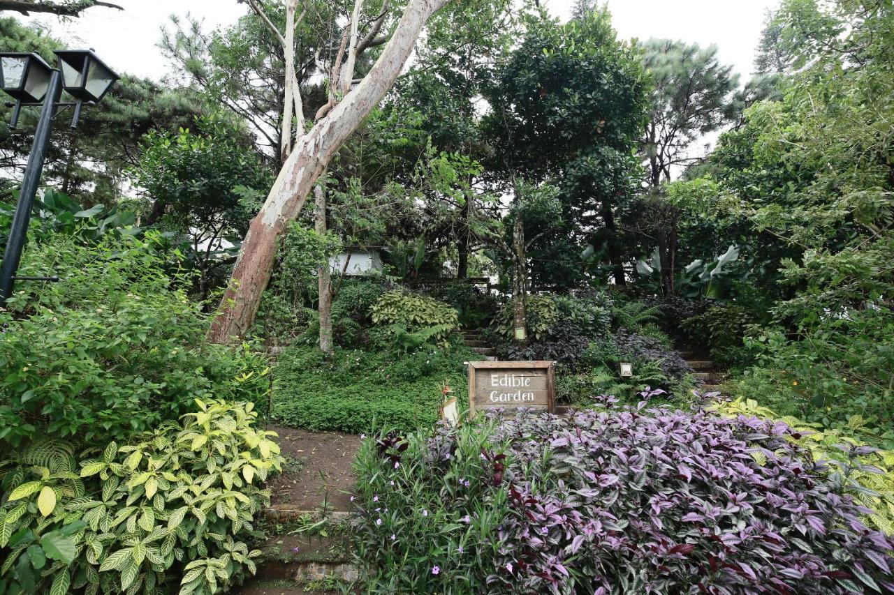 La Bella Boutique Hotel Tagaytay City Exteriör bild
